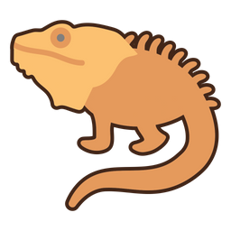 Chameleon  Icon