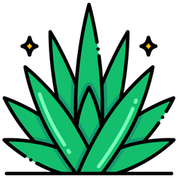 Agave  Icon