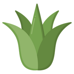 Agave  Icon