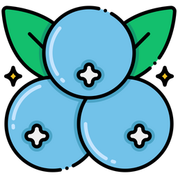 Blueberry  Icon