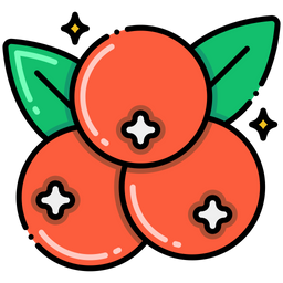 Cranberry  Icon