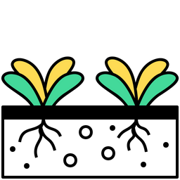 Hydroponic  Icon