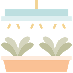 Grow Light  Icon