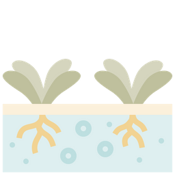 Hydroponic  Icon