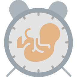 Baby birth time  Icon