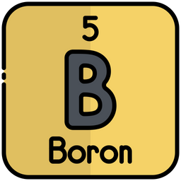 Boron  Icon