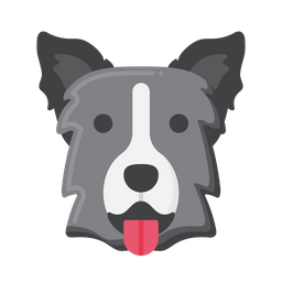 Border Collie dog  Icon