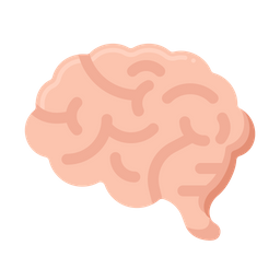 Brain  Icon