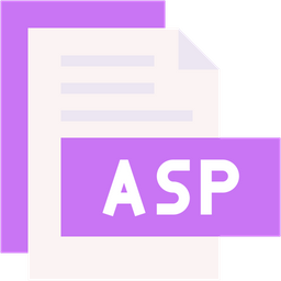 Asp  Icon