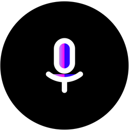 Mic  Icon