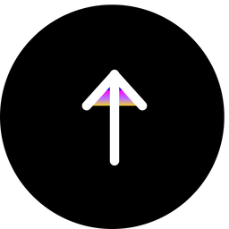 Arrow Down  Icon