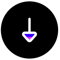 Arrow Down  Icon