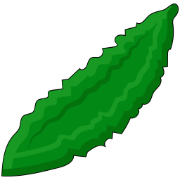 Cucumber  Icon