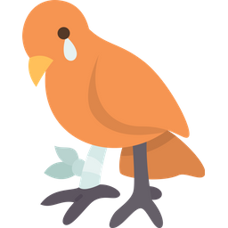 Bird  Icon