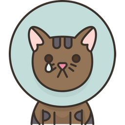 Cat  Icon