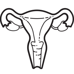 Uterus  Icon