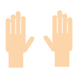 Hands  Icon