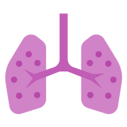 Lungs  Icon