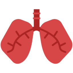 Lungs  Icon