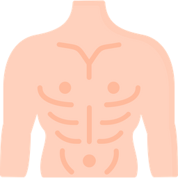 Anatomy  Icon