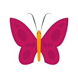 Butterfly  Icon