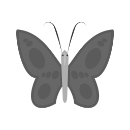 Papillon  Icône