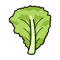 Lechuga  Icono