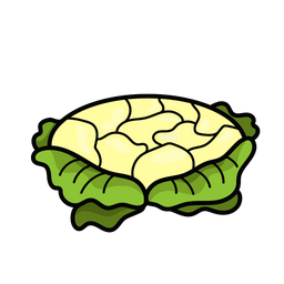 Cauli Flower  Icon