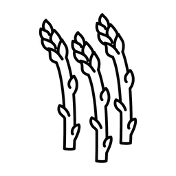 Asparagus  Icon