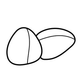 Cola Nut  Icon