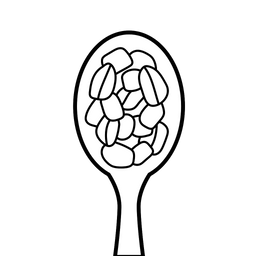 A Spoon Of Nuts  Icon