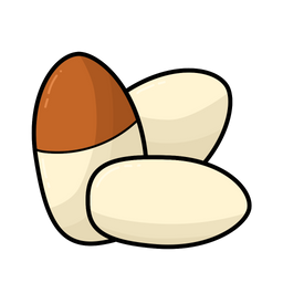 Gingko Nut  Icon