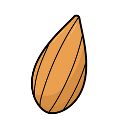 Almond  Icon