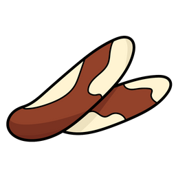 Brazil Nut  Icon