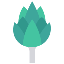 Broccoli  Icon