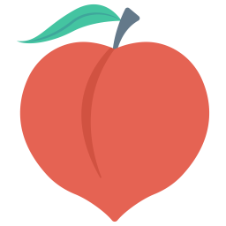 Apricot  Icon