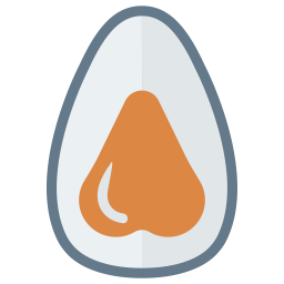 Avocado  Icon