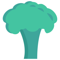 Broccoli  Icon