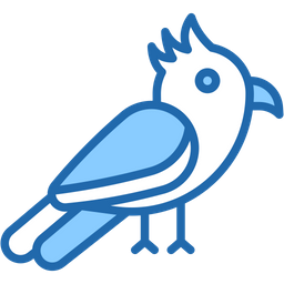 Cockatoo  Icon