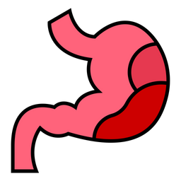 Digestion  Icon