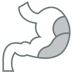 Digestion  Icon