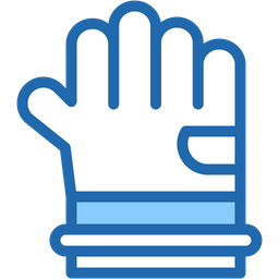 Gloves  Icon