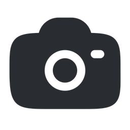 Camera  Icon