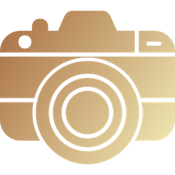 Camera  Icon