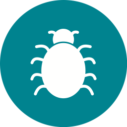 Bug  Icon