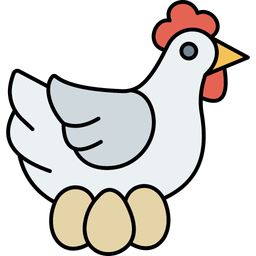 Chicken  Icon