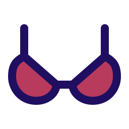 Bra  Icon