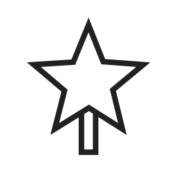 Christmas star  Icon