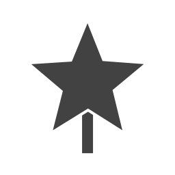 Christmas star  Icon