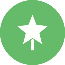 Christmas star  Icon